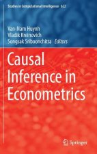 Causal Inference in Econometrics