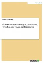 OEffentliche Verschuldung in Deutschland. Ursachen und Folgen der Finanzkrise