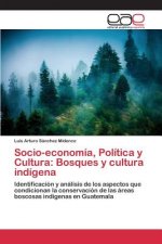 Socio-economia, Politica y Cultura