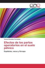 Efectos de los partos operatorios en el suelo pelvico