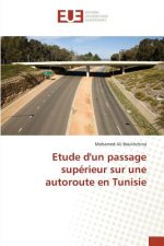 Etude Dun Passage Superieur Sur Une Autoroute En Tunisie