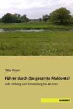 Führer durch das gesamte Muldental