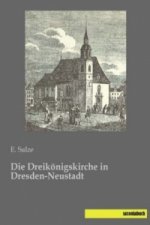 Die Dreikönigskirche in Dresden-Neustadt
