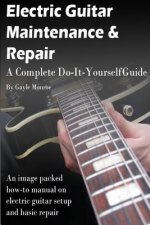 Electric Guitar Maintenance and Repair