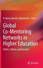 Global Co-Mentoring Networks in Higher Education