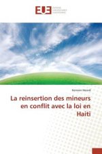 Reinsertion Des Mineurs En Conflit Avec La Loi En Haiti