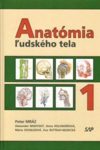 Anatómia ľudského tela 1