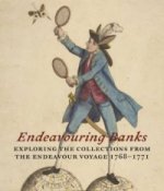 Endeavouring Banks