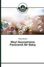 Weyl Geometrisine Panoramik Bir Bakış