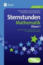 Sternstunden Mathematik Klasse 1