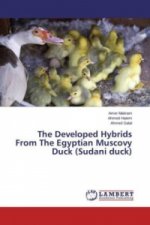 The Developed Hybrids From The Egyptian Muscovy Duck (Sudani duck)