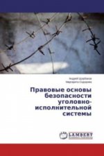 Pravovye osnovy bezopasnosti ugolovno-ispolnitel'noj sistemy