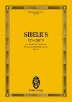 Violinkonzert D Moll