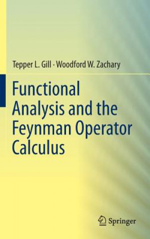 Functional Analysis and the Feynman Operator Calculus