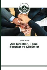 Aile Şirketleri, Temel Sorunlar ve Coezumler