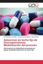 Adsorcion en lecho fijo de fluoroquinolonas. Modelizacion del proceso