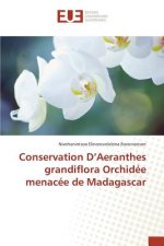 Conservation d'Aeranthes Grandiflora Orchidee Menacee de Madagascar