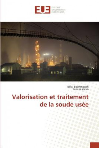 Valorisation Et Traitement de la Soude Usee
