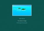 Une tortue en voyage