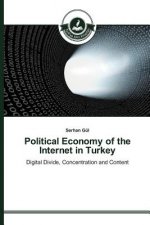 Political Economy of the Internet in Turkey
