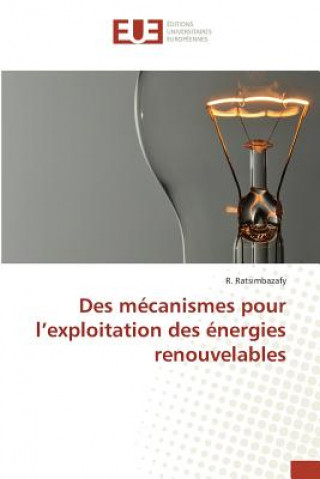 Des Mecanismes Pour l'Exploitation Des Energies Renouvelables