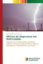 Oficina de Seguranca em Eletricidade