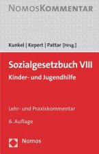 Sozialgesetzbuch (SGB) VIII, Lehr- und Praxiskommentar