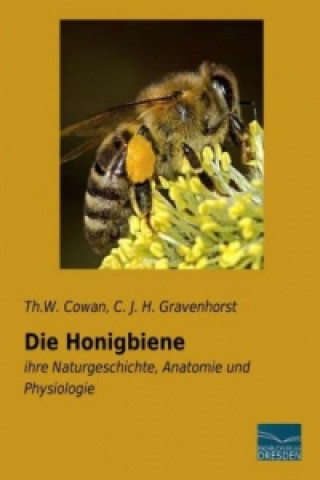 Die Honigbiene