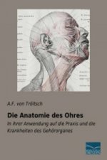 Die Anatomie des Ohres