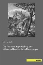 Die Schlösser Augustusburg und Lichtenwalde nebst ihren Umgebungen