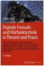 Digitale Fernseh- und Horfunktechnik in Theorie und Praxis