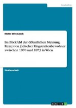 Im Blickfeld der oeffentlichen Meinung. Rezeption judischer Ringstrassenbewohner zwischen 1870 und 1873 in Wien