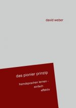 Pionier-Prinzip