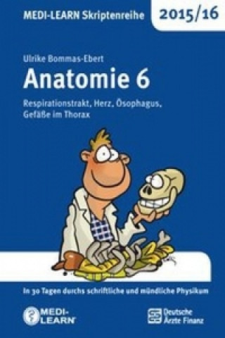 Anatomie. Bd.6