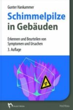 Schimmelpilze in Gebäuden