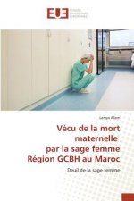 Vecu de la Mort Maternelle Par La Sage Femme Region Gcbh Au Maroc