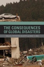 Consequences of Global Disasters