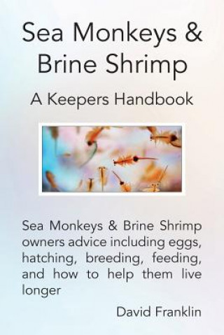Sea Monkeys & Brine Shrimp