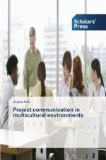Project communication in multicultural environments