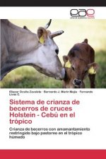 Sistema de crianza de becerros de cruces Holstein - Cebu en el tropico