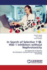 In Search of Selective 11β-HSD 1 Inhibitors without Nephrotoxicity