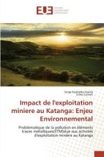 Impact de Lexploitation Miniere Au Katanga
