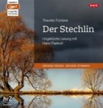 Der Stechlin, 2 Audio-CD, 2 MP3