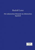 indianischen Elemente im chilenischen Spanisch