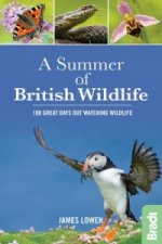 Summer of British Wildlife