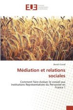Mediation Et Relations Sociales