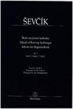 Škola smyčcové techniky op. 2, sešit 2