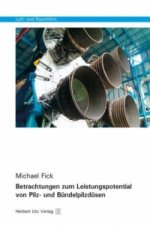 Betrachtungen zum Leistungspotential von Pilz- und Bündelpilzdüsen