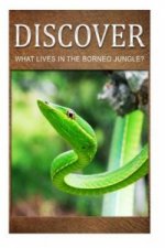 What Lives in the Borneo Jungle? - Discover