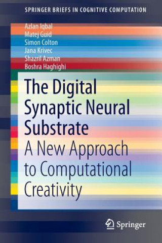 Digital Synaptic Neural Substrate